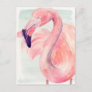 Search for flamingo postcards Pink