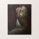 Search for orangutan puzzles Ape