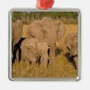 Search for kenya christmas tree decorations Wildlife