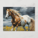 Search for pinto postcards Horse