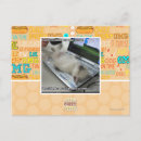 Search for respond postcards I can has cheezburger