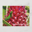 Search for ananas postcards Sweet
