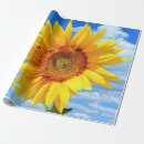 Search for yellow wrapping paper Sky
