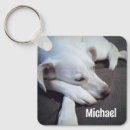 Search for cute dog paw key rings Beautiful