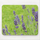 Search for lavendar mousepads Flower