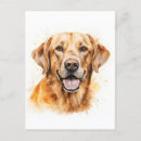 Search for labrador retriever dog postcards Golden