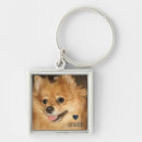 Search for beloved key rings Pet