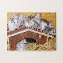 Search for mice puzzles Rodents