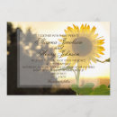 Search for sunsets invitations Nature