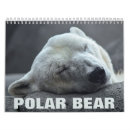Search for polar bear gifts Wild animals