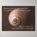 Search for nautilus seashell posters Nature