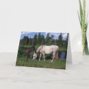 Search for mare cards Equestrian