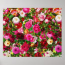 Search for vintage rose posters Nature