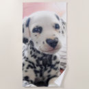 Search for valentines day towels Cute animal