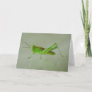 Search for bug lover cards Nature