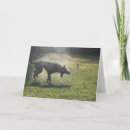 Search for bedlingtons cards Dogs