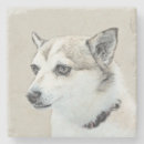 Search for norwegian coasters Dog