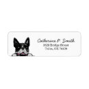 Search for boston return address labels Pet