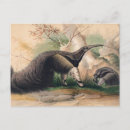 Search for anteating postcards Illustration