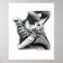 Search for keyboard cat posters Meme