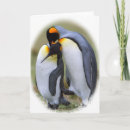 Search for penguin love cards Kiss