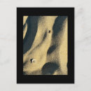 Search for shadows postcards Light