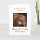 Search for orangutan birthday cards Primate