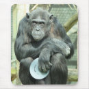 Search for chimpanzees mousepads Chimps