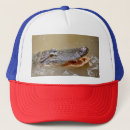 Search for alligator baseball hats Everglades