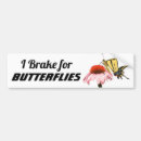 Search for swallowtail butterfly bumper stickers Yellow
