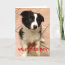Search for border collie valentines day cards Dog