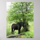 Search for black horse posters Mare