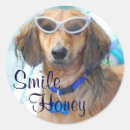 Search for swimming dog stickers Summer