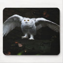 Search for snowy owl electronics White