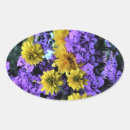 Search for phlox Flower garden