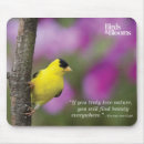 Search for bird quotes mousepads Birding