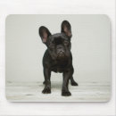 Search for shots mousepads Photography