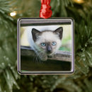 Search for siamese ornament christmas tree decorations Cute