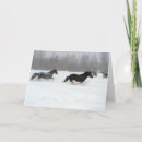 Search for equine seasonal cards Colt
