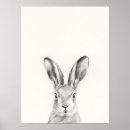 Search for pencil drawing posters Rabbit