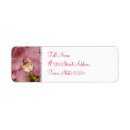 Search for orchid return address labels Tropical flower