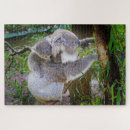 Search for koala bear puzzles Bears