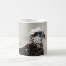 Search for osprey mugs Nature