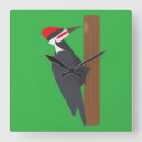 Search for wildlife clocks Bird