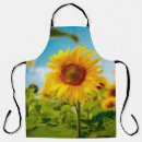Search for attract aprons Background