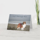 Search for shelti cards Sheepdog