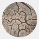 Search for wood texture stickers Background
