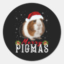 Search for guinea pig cartoon stickers Cats