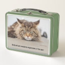 Search for cats lunch boxes Pet