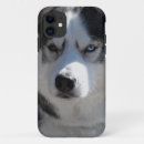Search for husky dog iphone cases Malamute